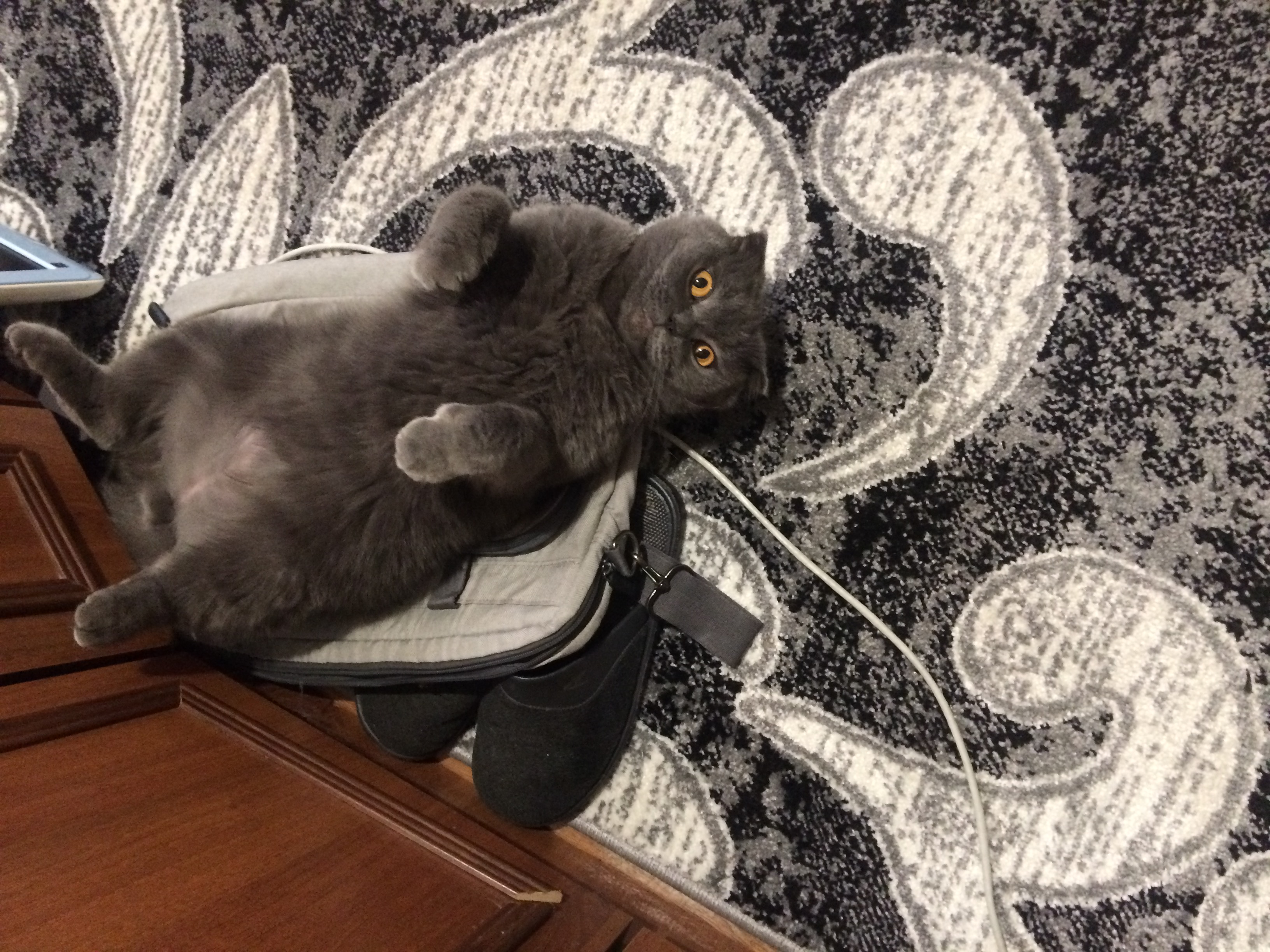 🖼