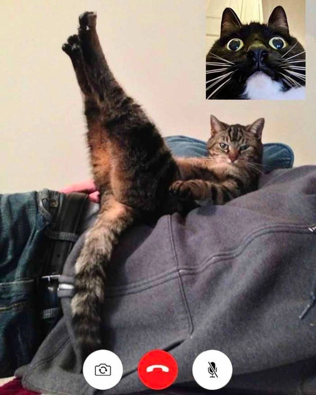 🖼