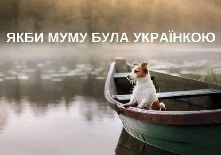 🖼