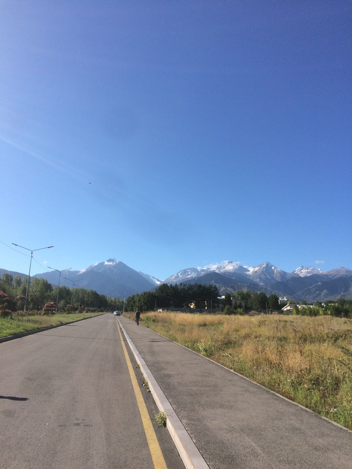 🖼