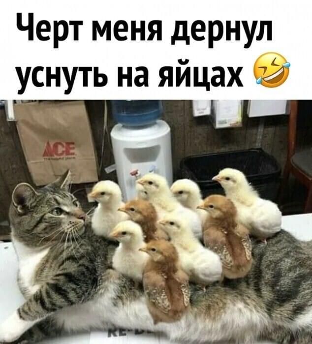 🖼