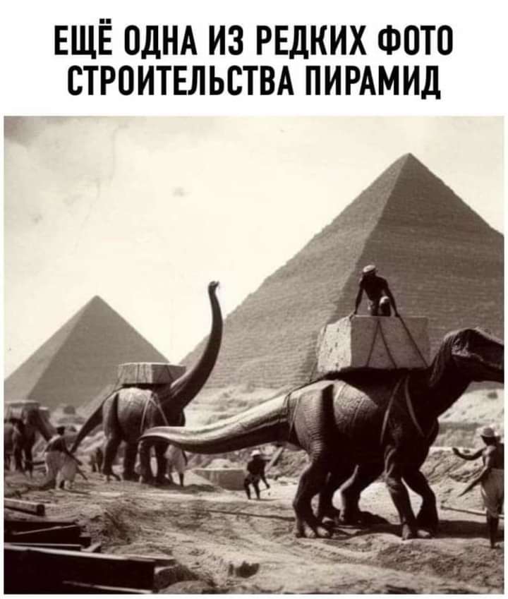 🖼