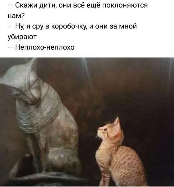 🖼