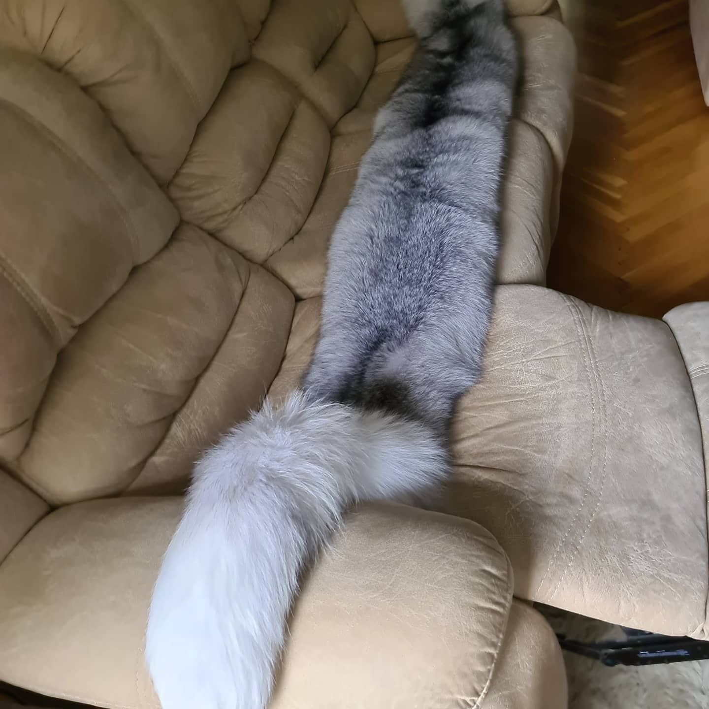 🖼