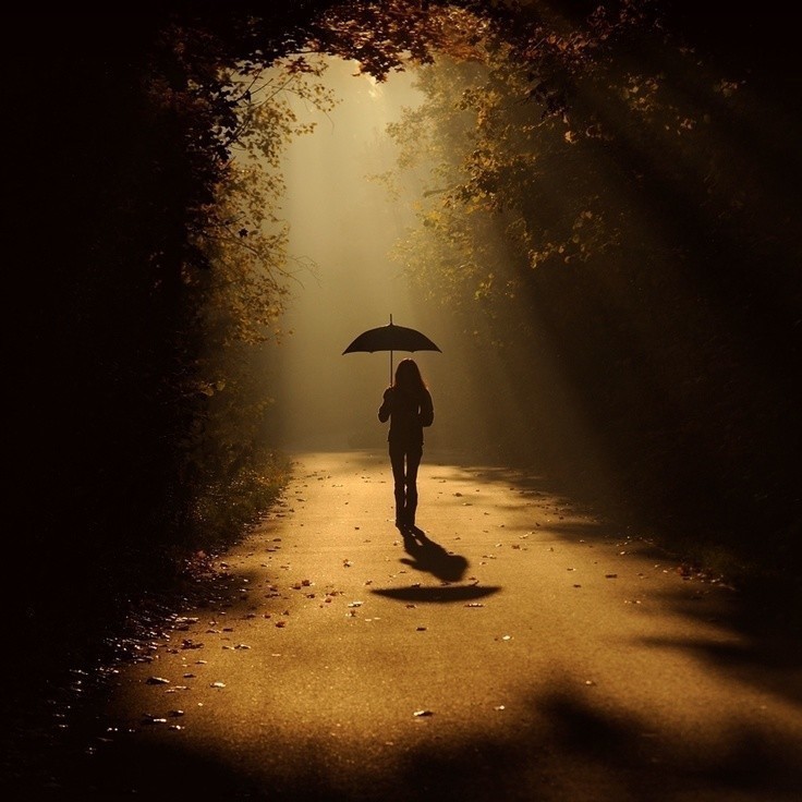 🖼
