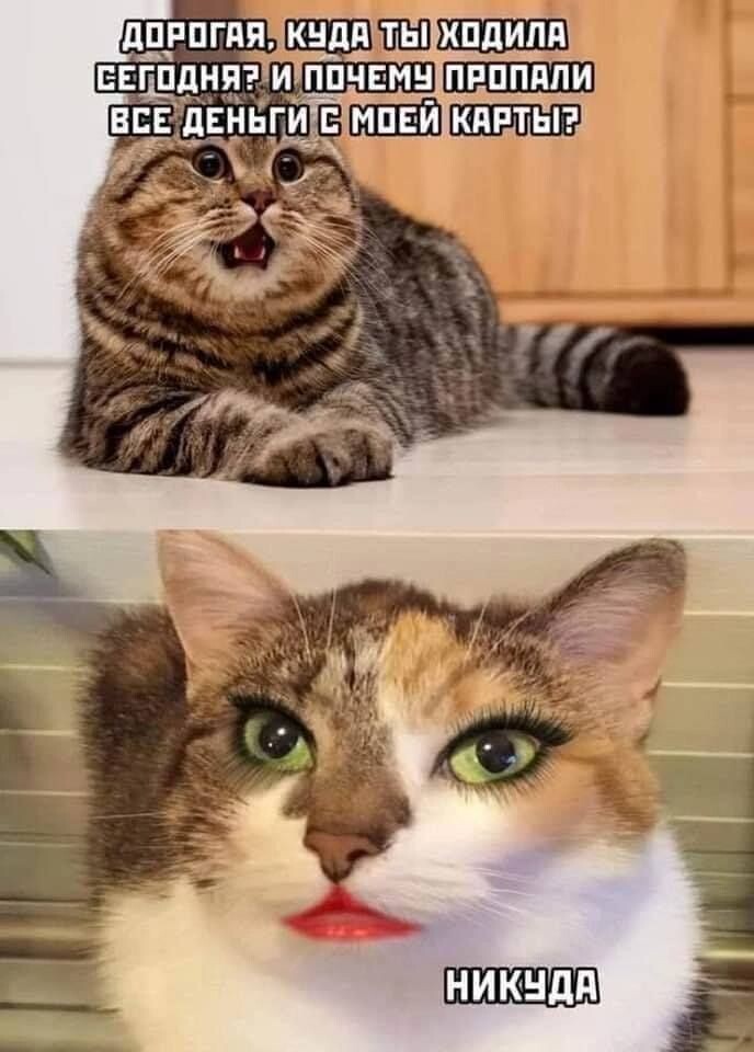 🖼