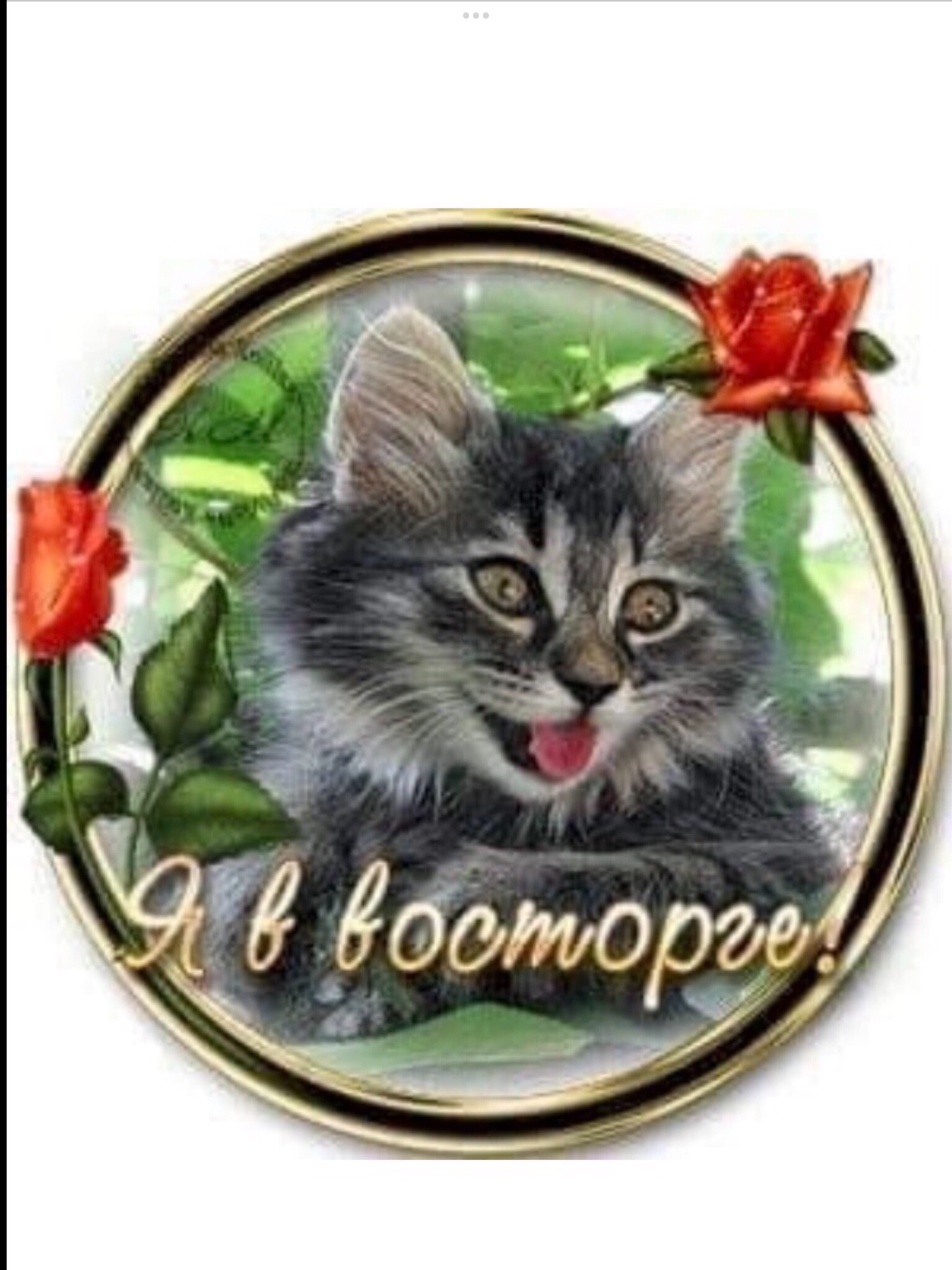 🖼