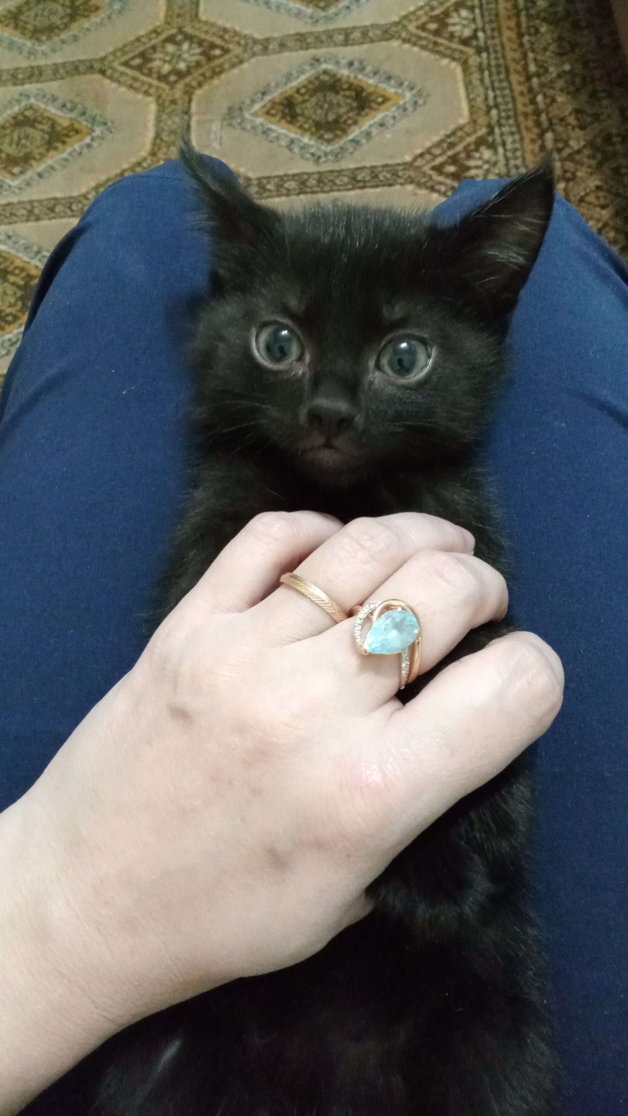 🖼