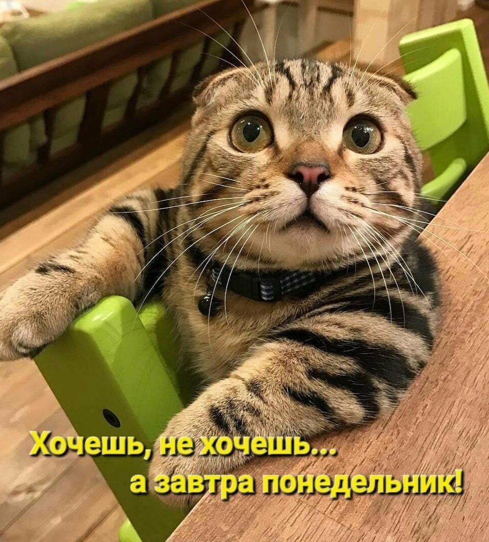 🖼
