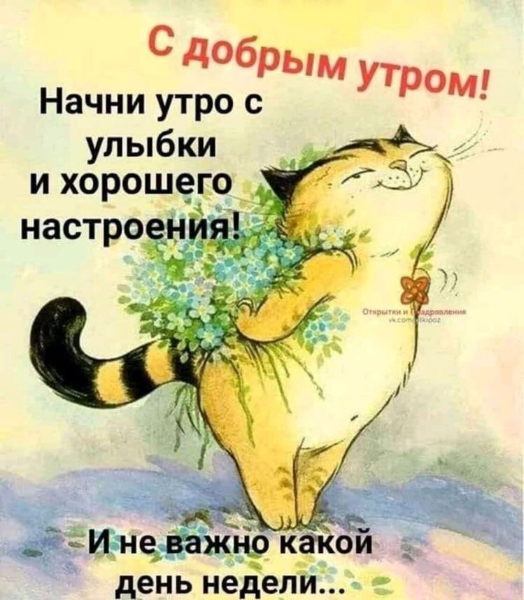 🖼