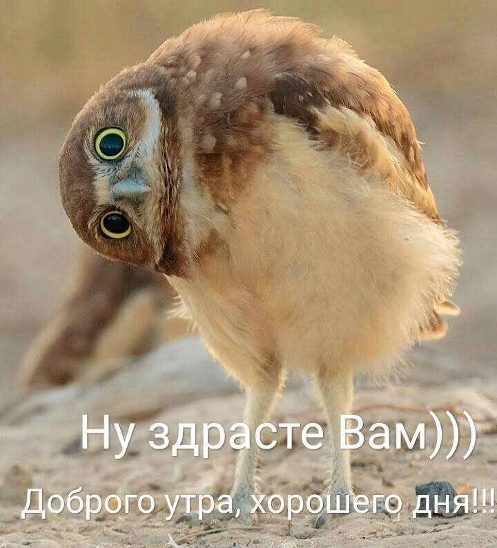 🖼