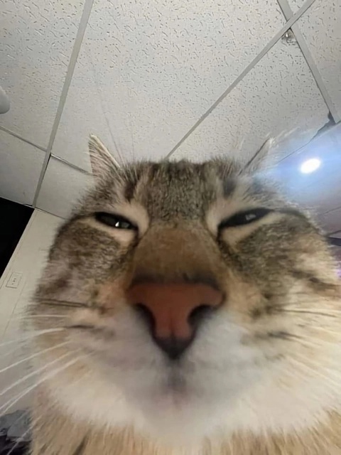 🖼