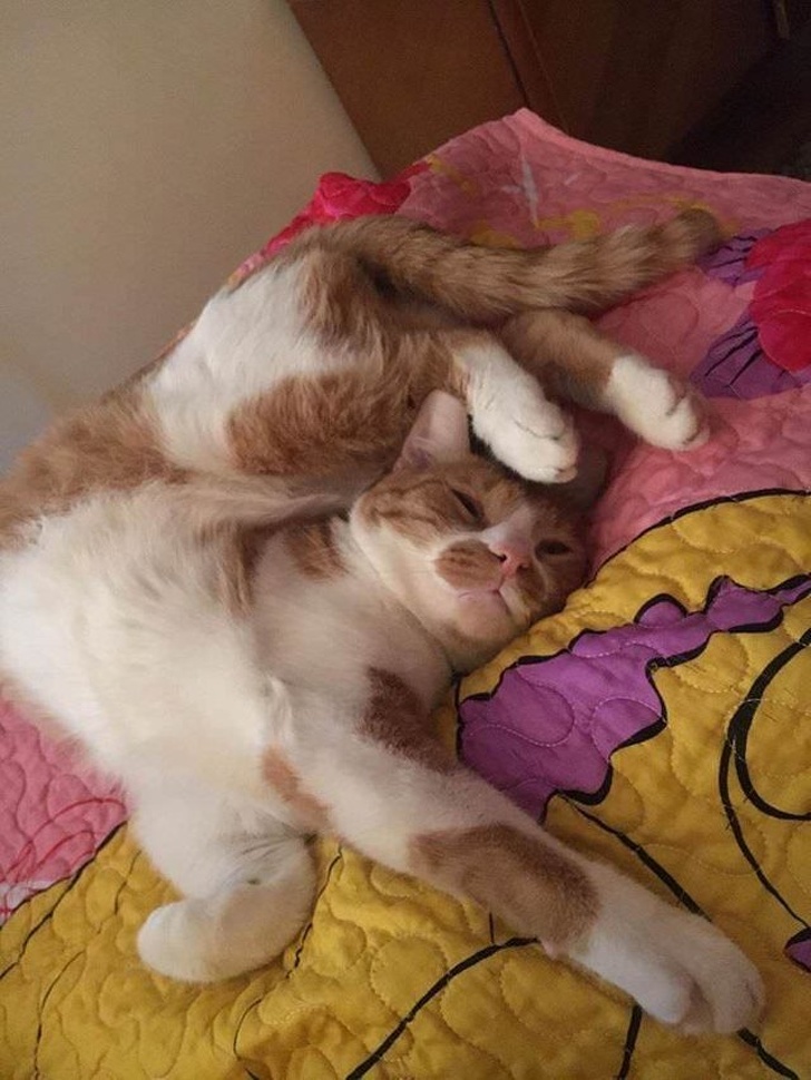 🖼