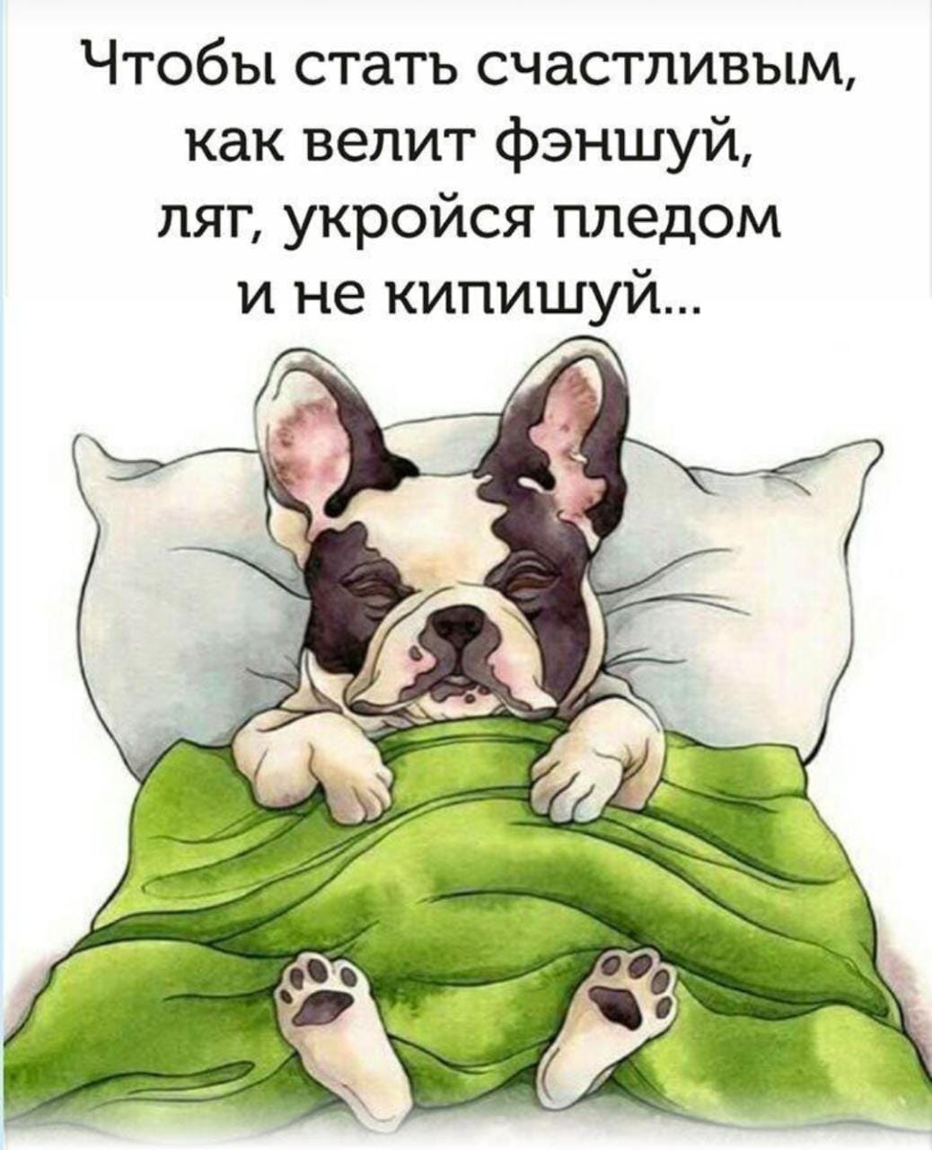 🖼