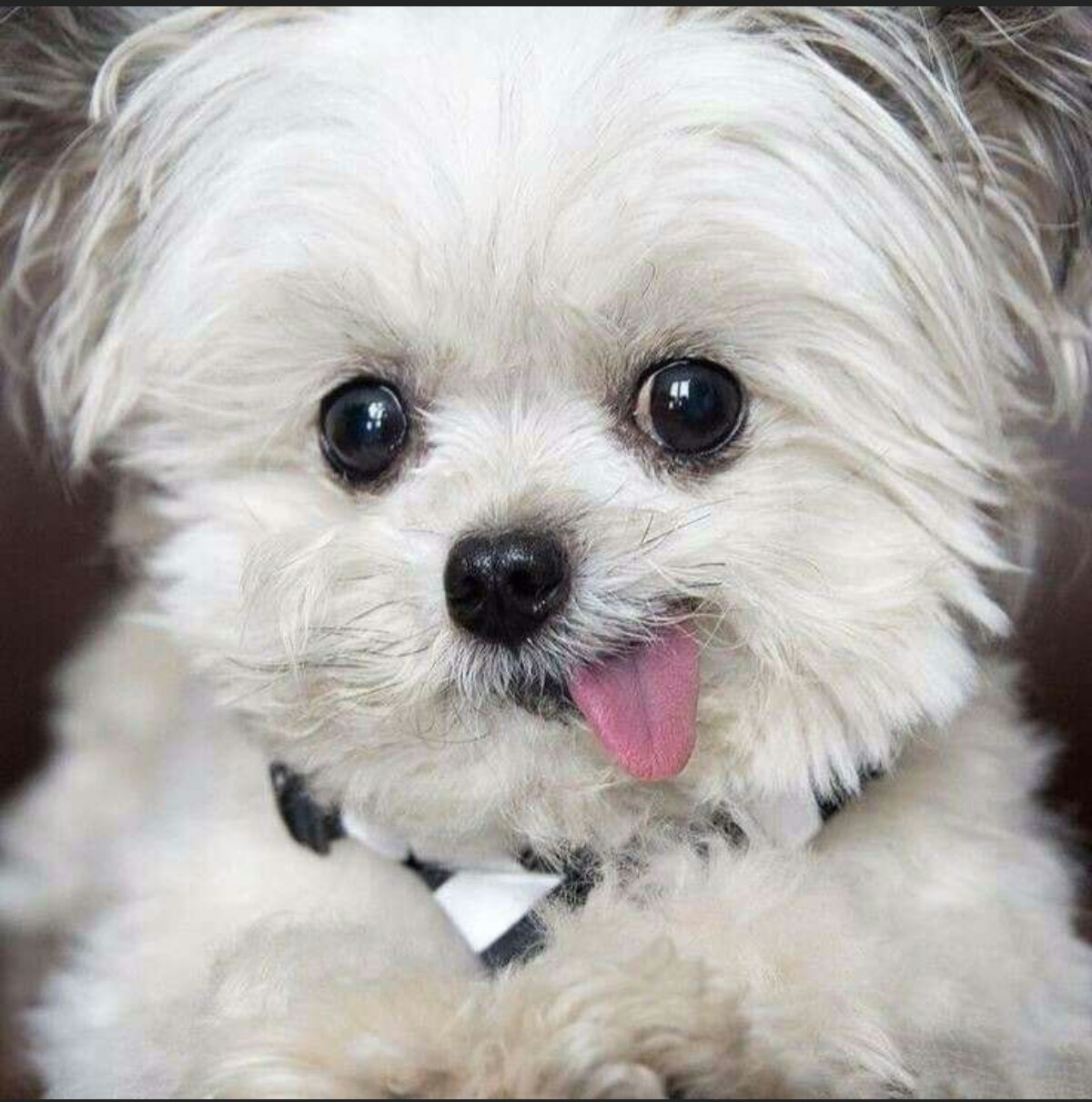 🖼
