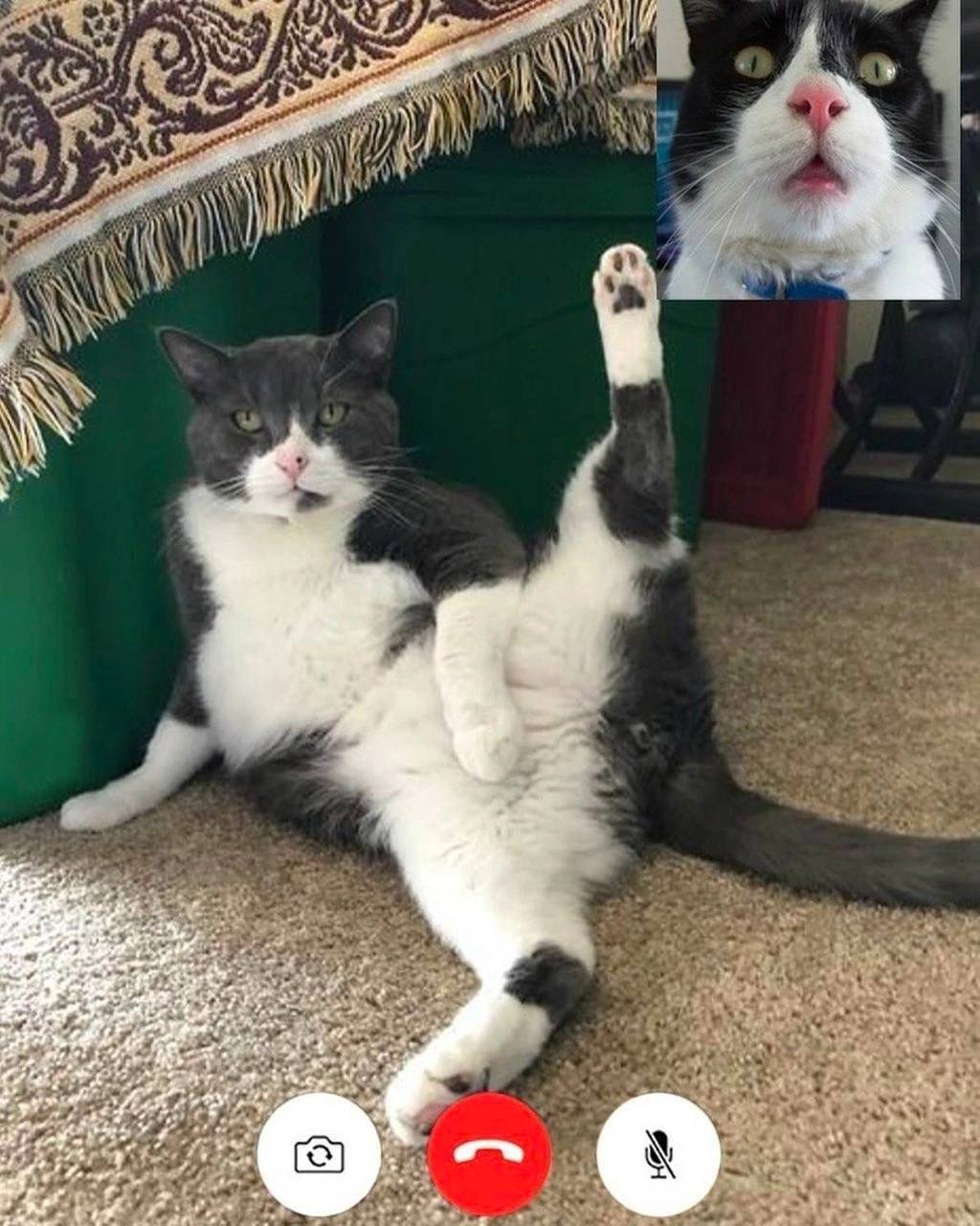 🖼
