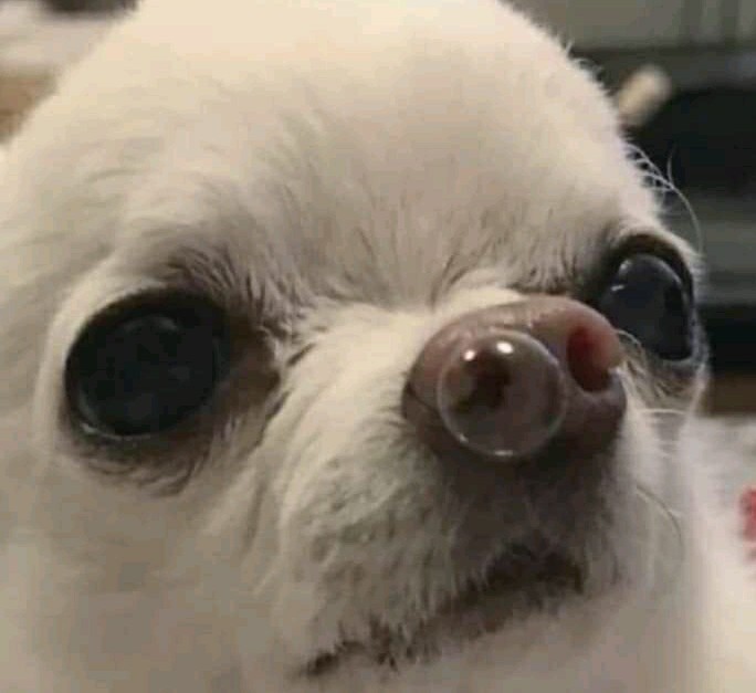 🖼