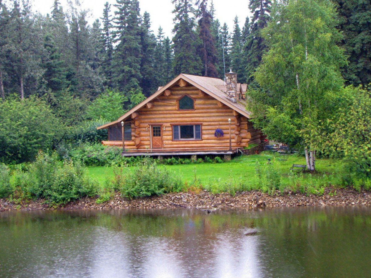 дома в лесу на берегу реки