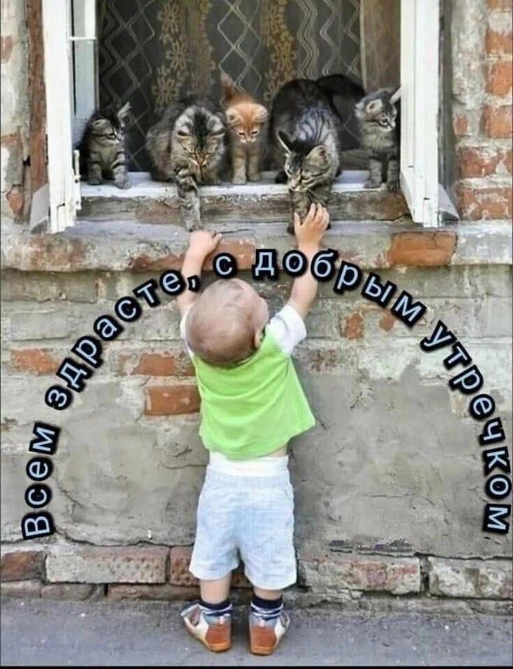 🖼