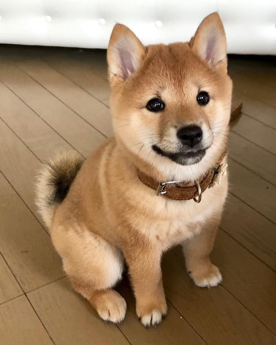 🖼
