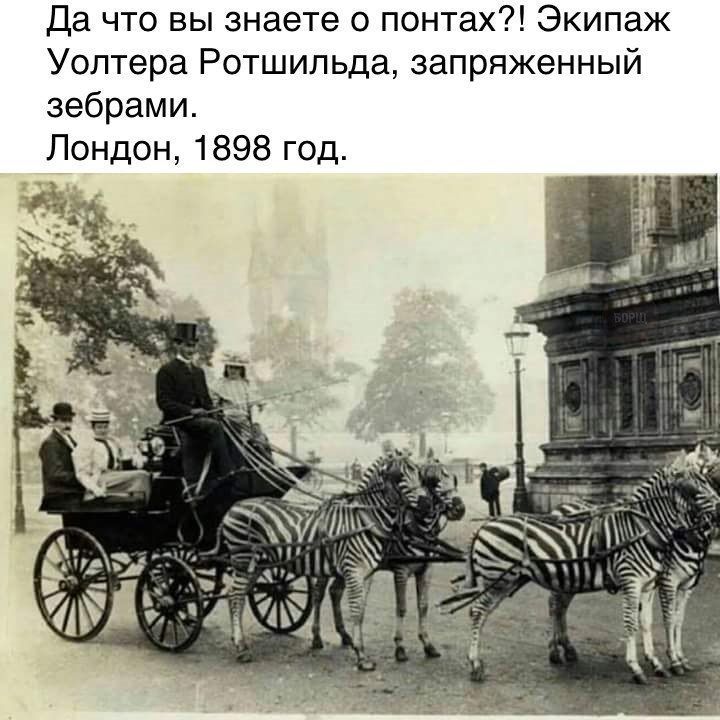 🖼