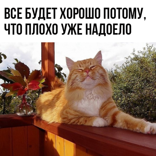 🖼