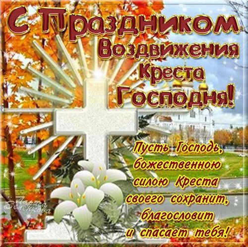🖼