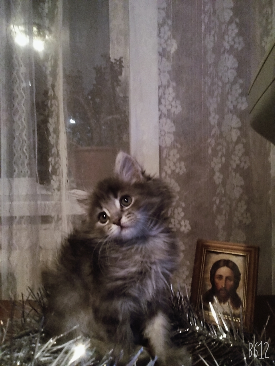 🖼