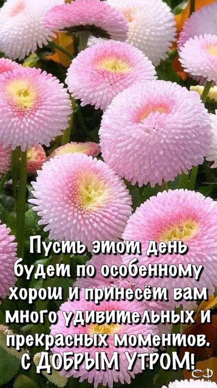 🖼