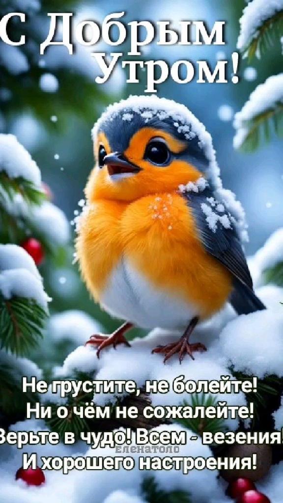 Доброе утро добрым старым друзьям. Доброе утро зорошего дея. Доброе утро добрым старым друзьям. Доброе утро друзья. Доброе утро добрым старым друзьям.