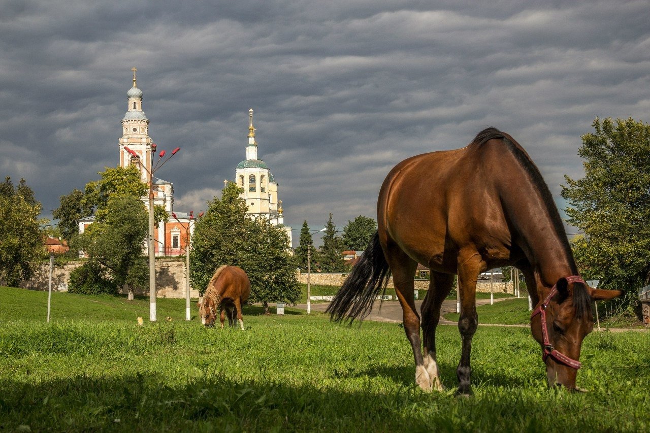 Лошадь на фоне храма
