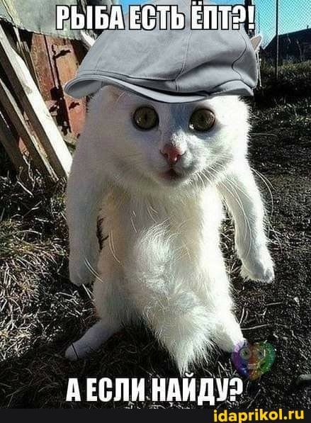 🖼