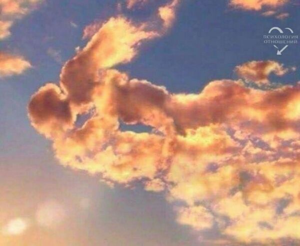 🖼