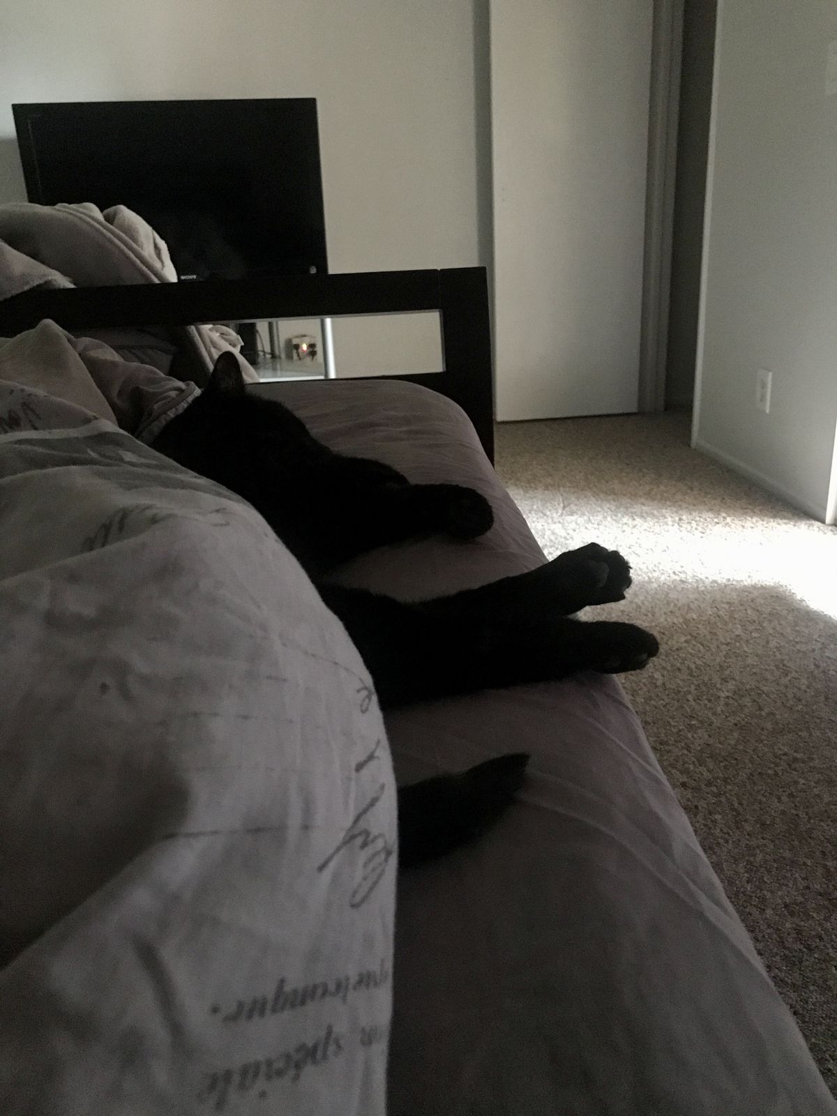 🖼