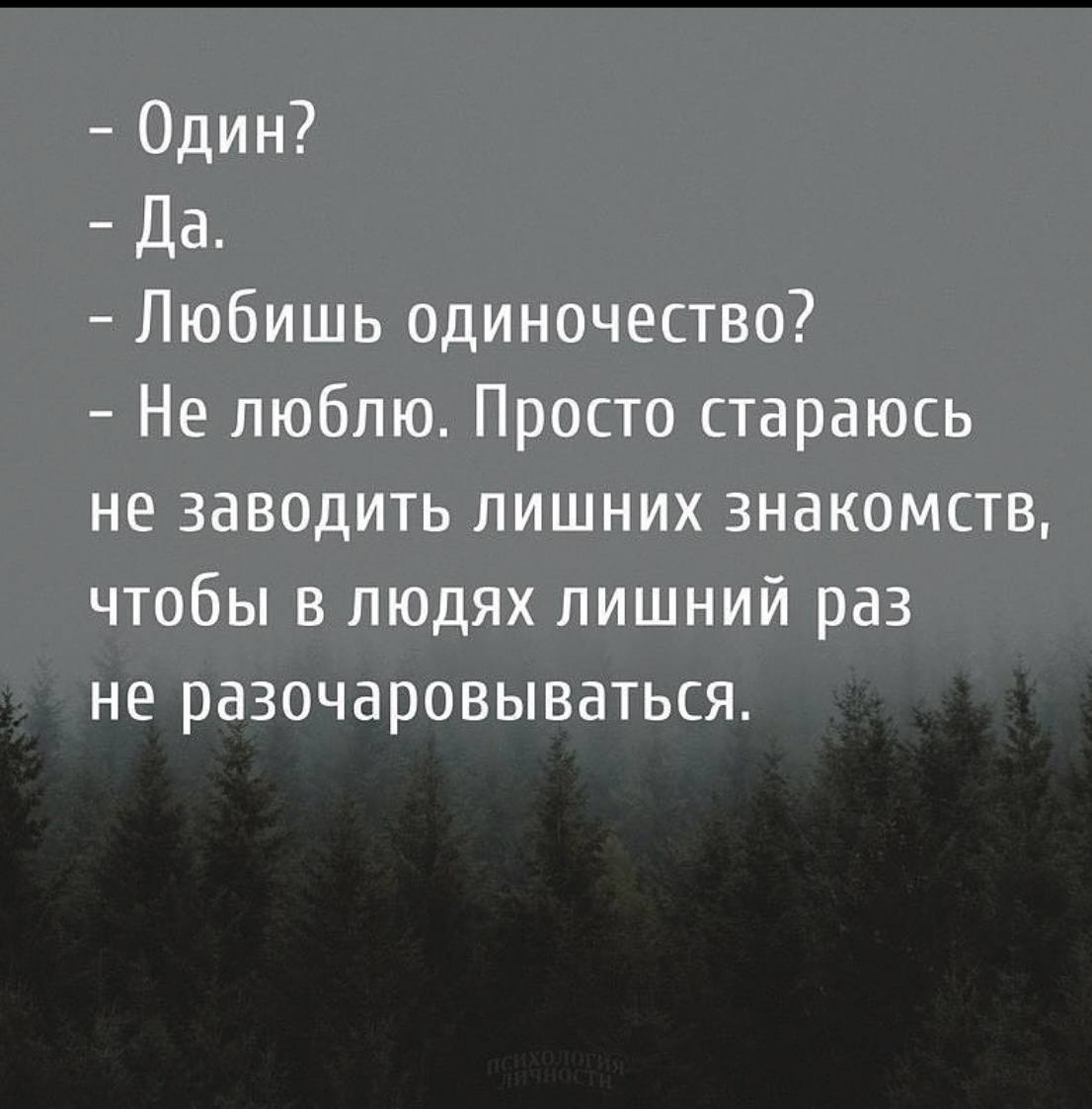 Скрасил одиночество одинокой домохозяйки Скрасил одиночество одинокой домохозяйки