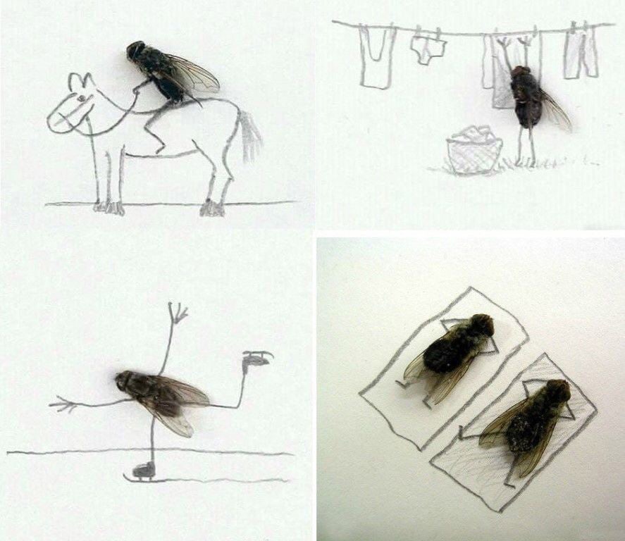 🖼