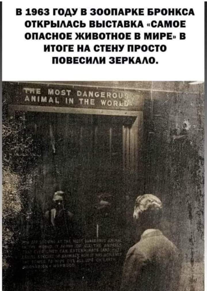 🖼