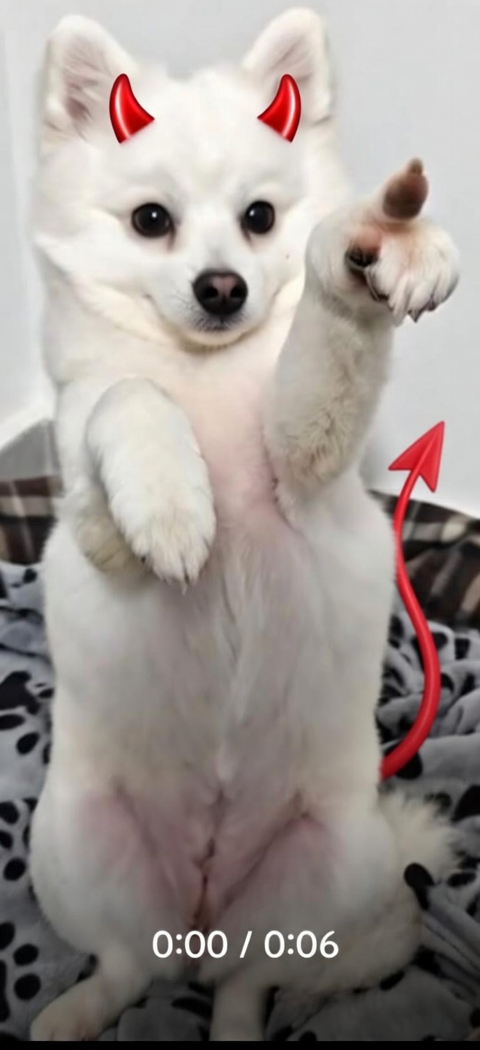 🖼