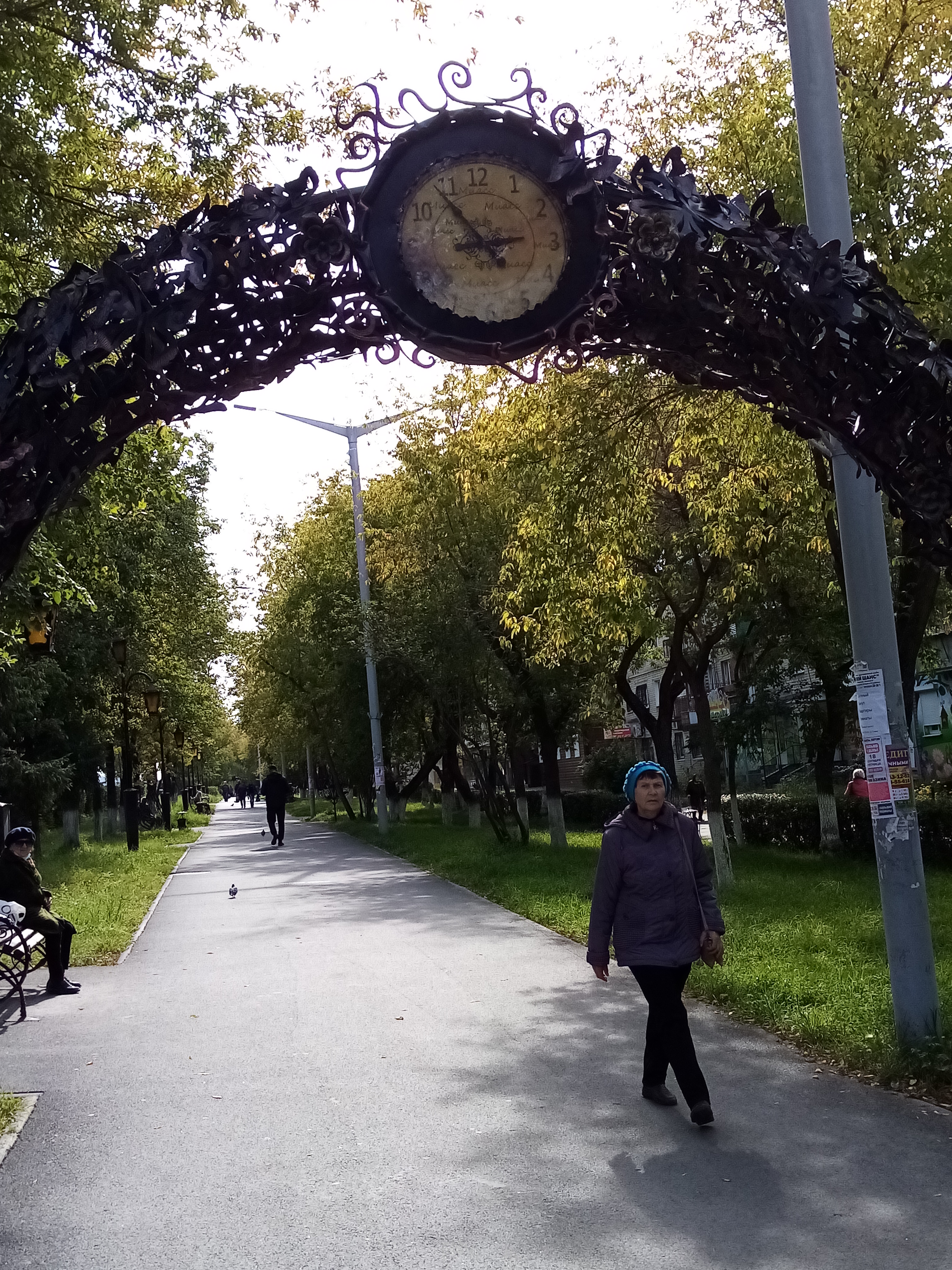 🖼