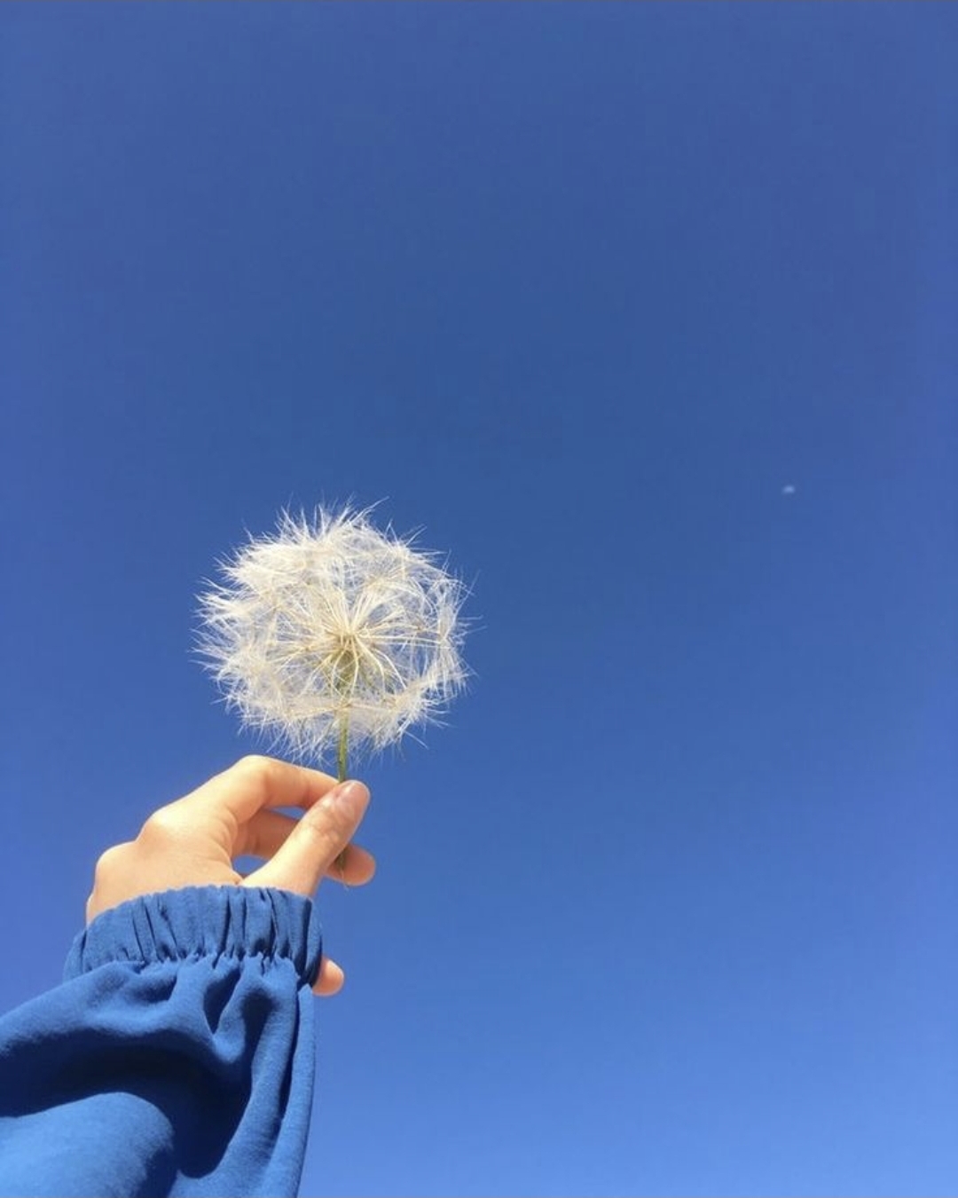 🖼