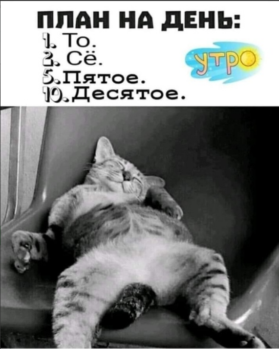 🖼