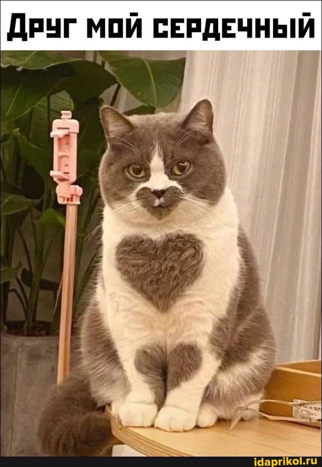 🖼