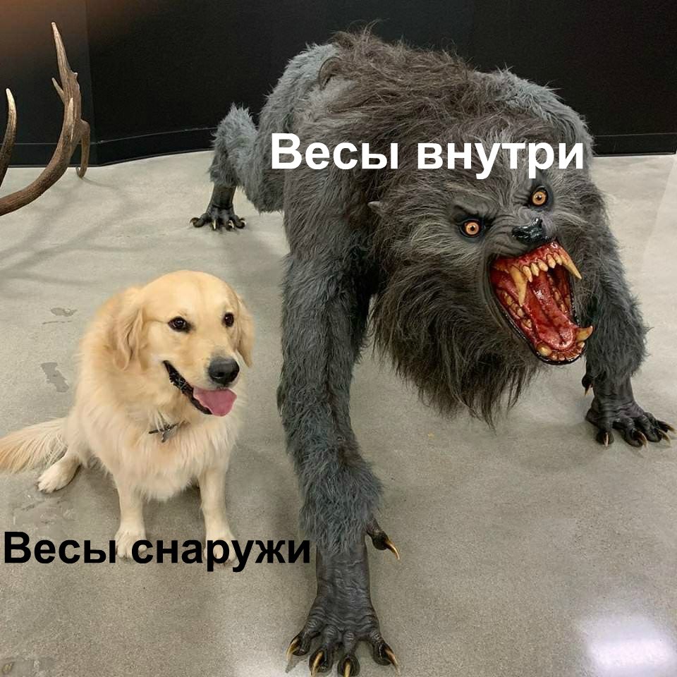 🖼