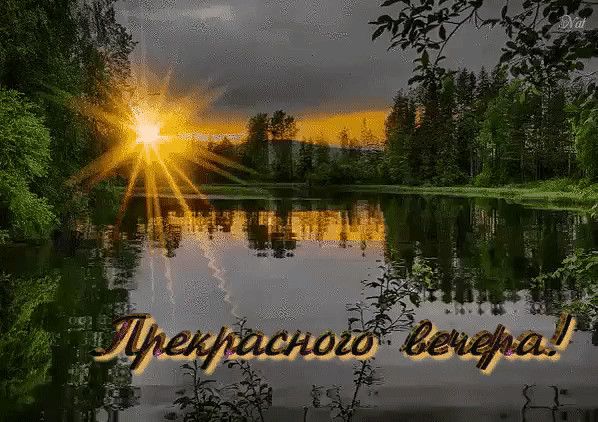🖼