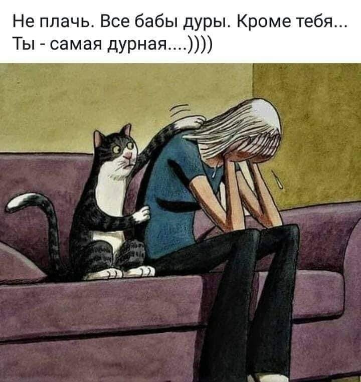 🖼