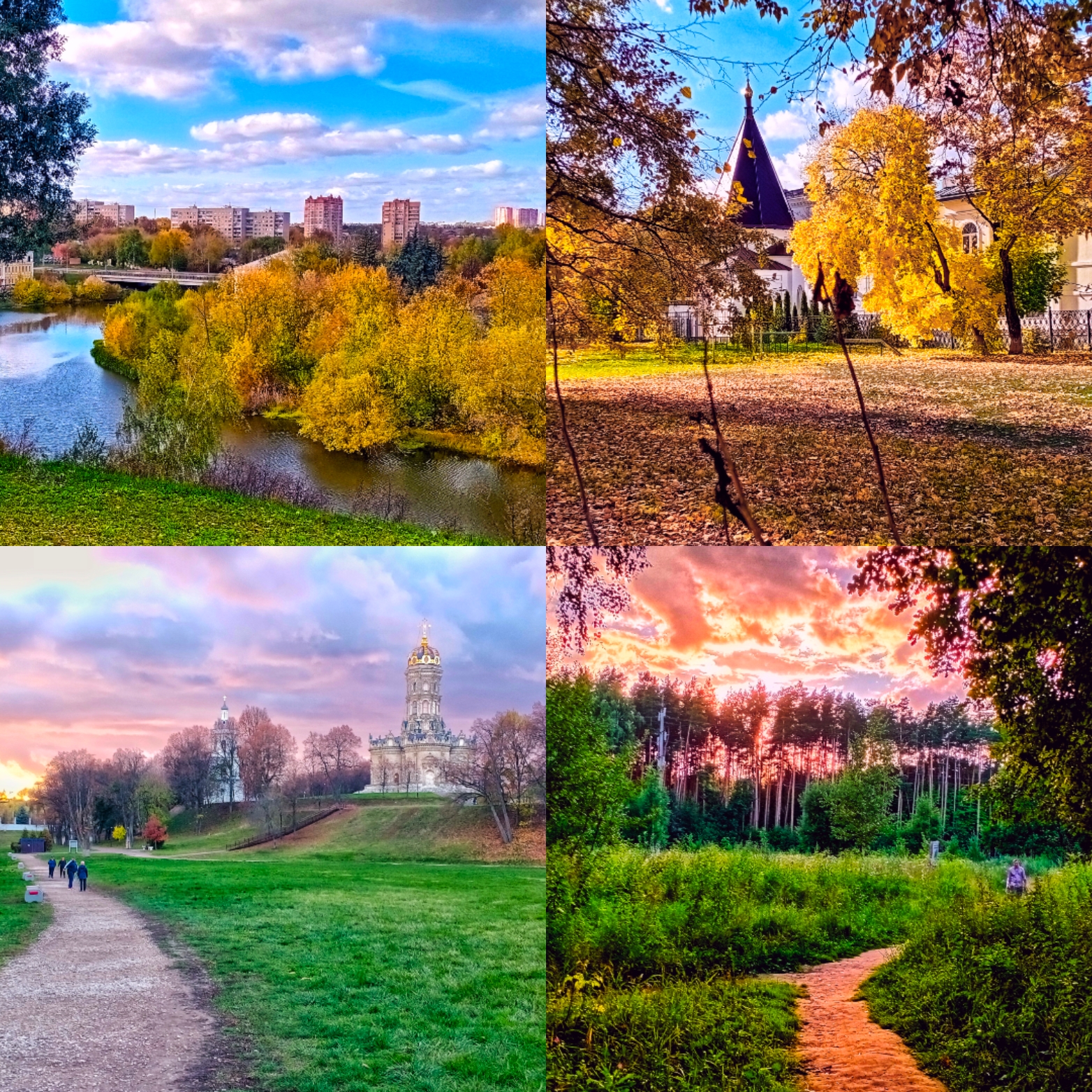 🖼