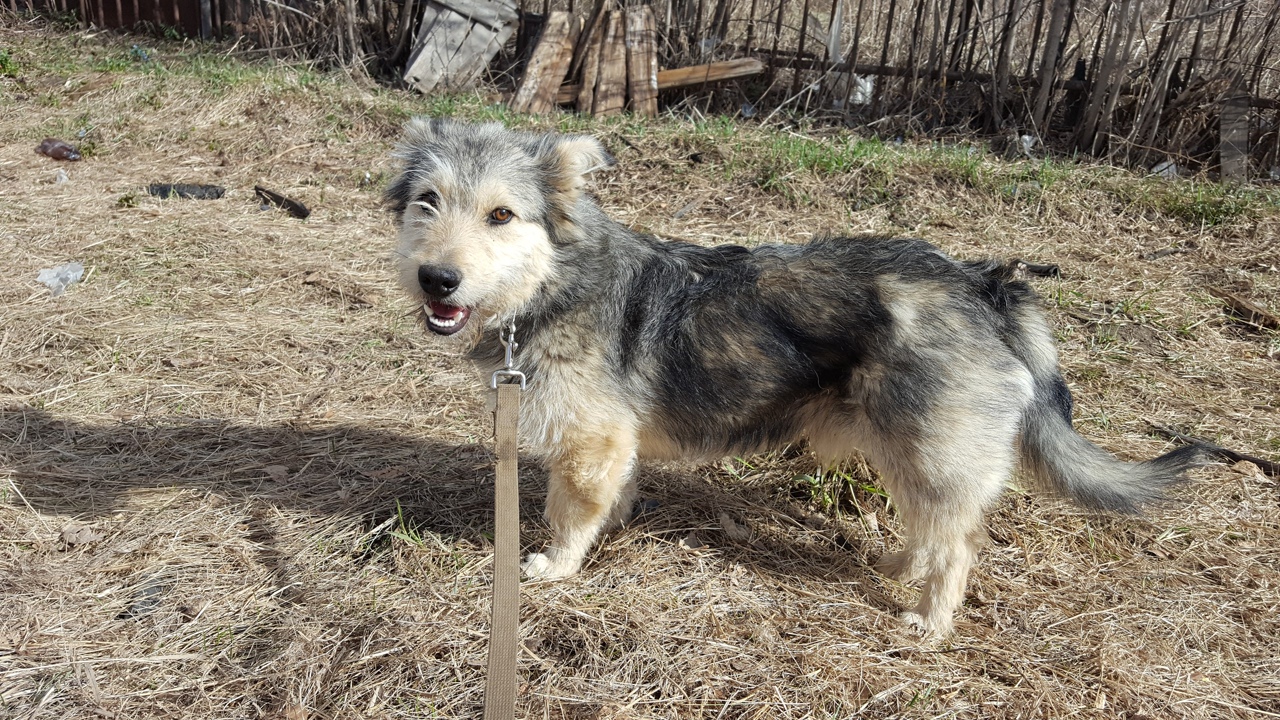 🖼