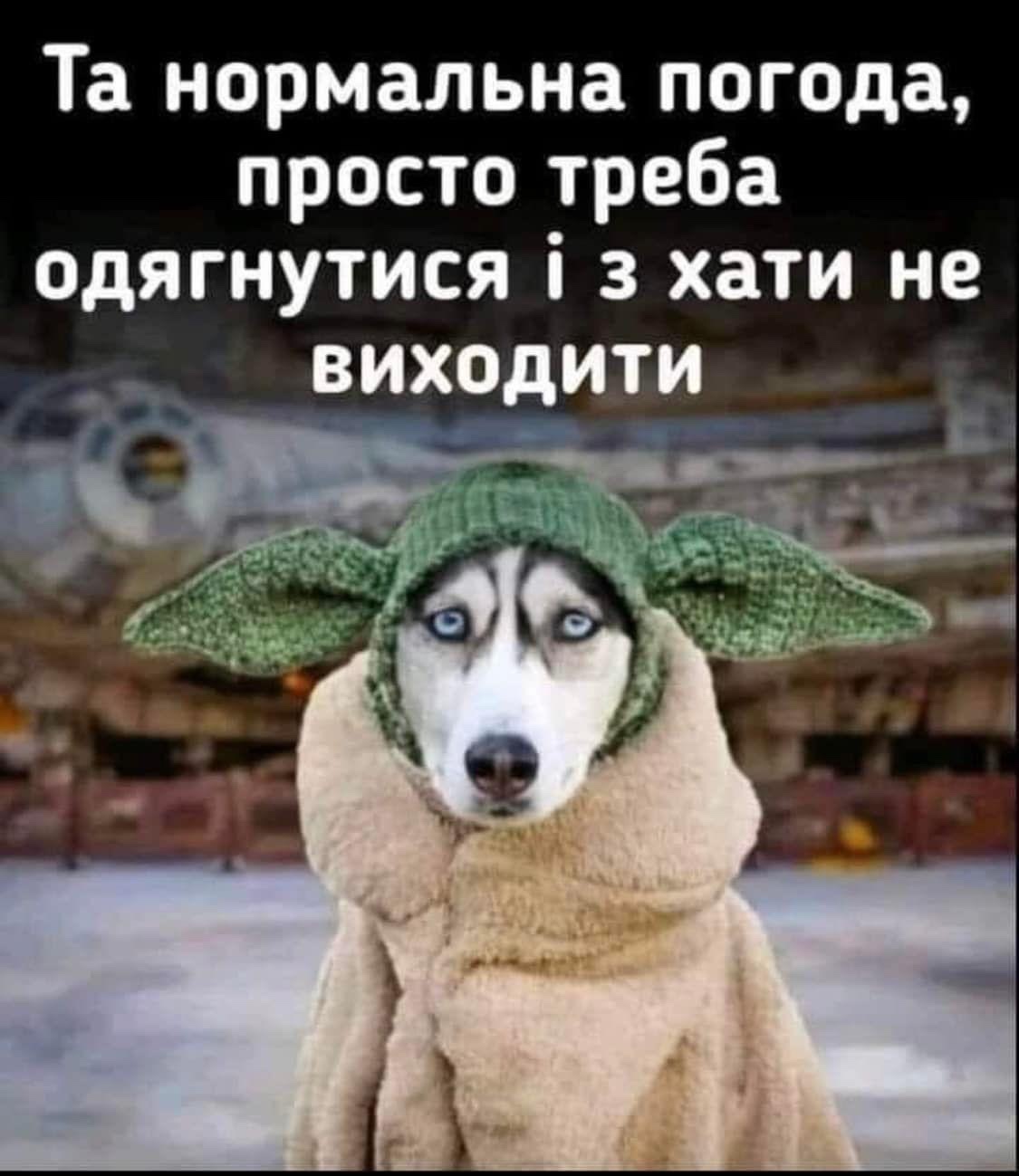 🖼