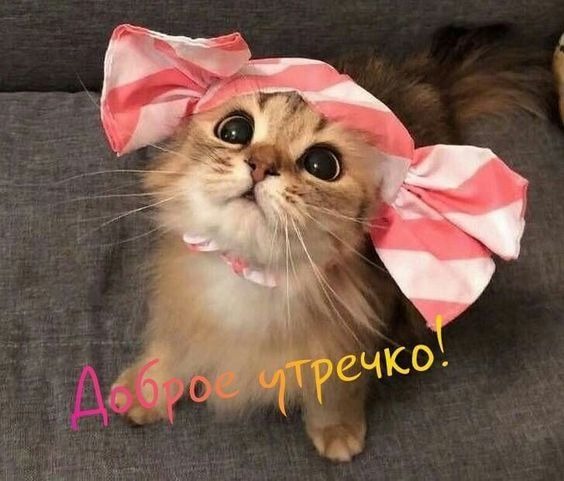 🖼