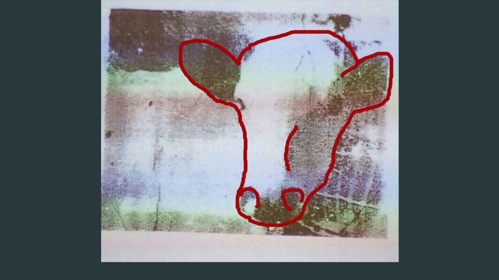 🖼